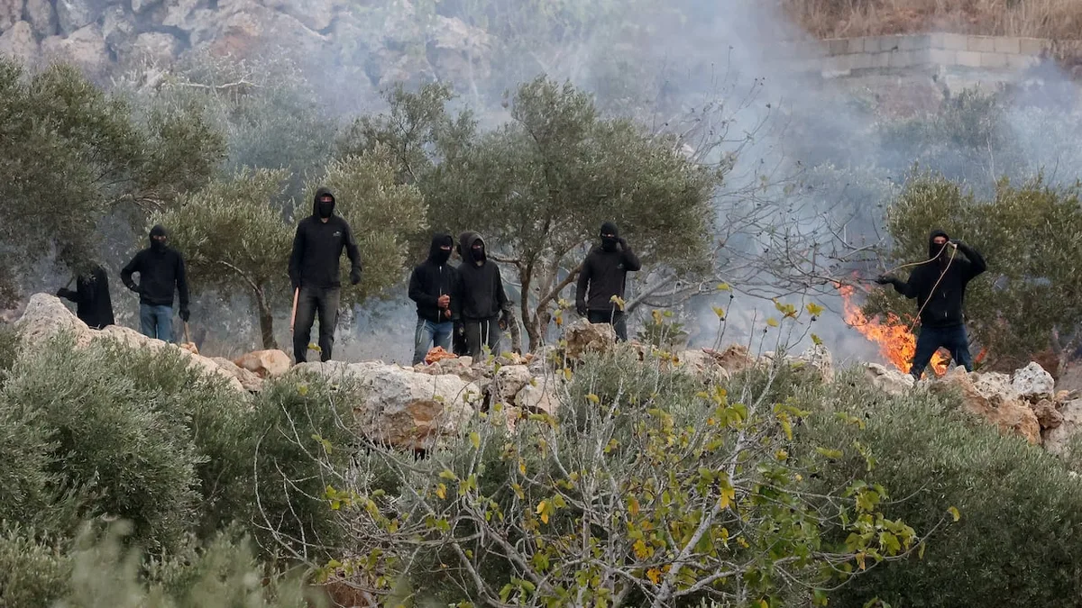 Israeli settlers attack Palestinians, American journalist during West Bank olive harvest