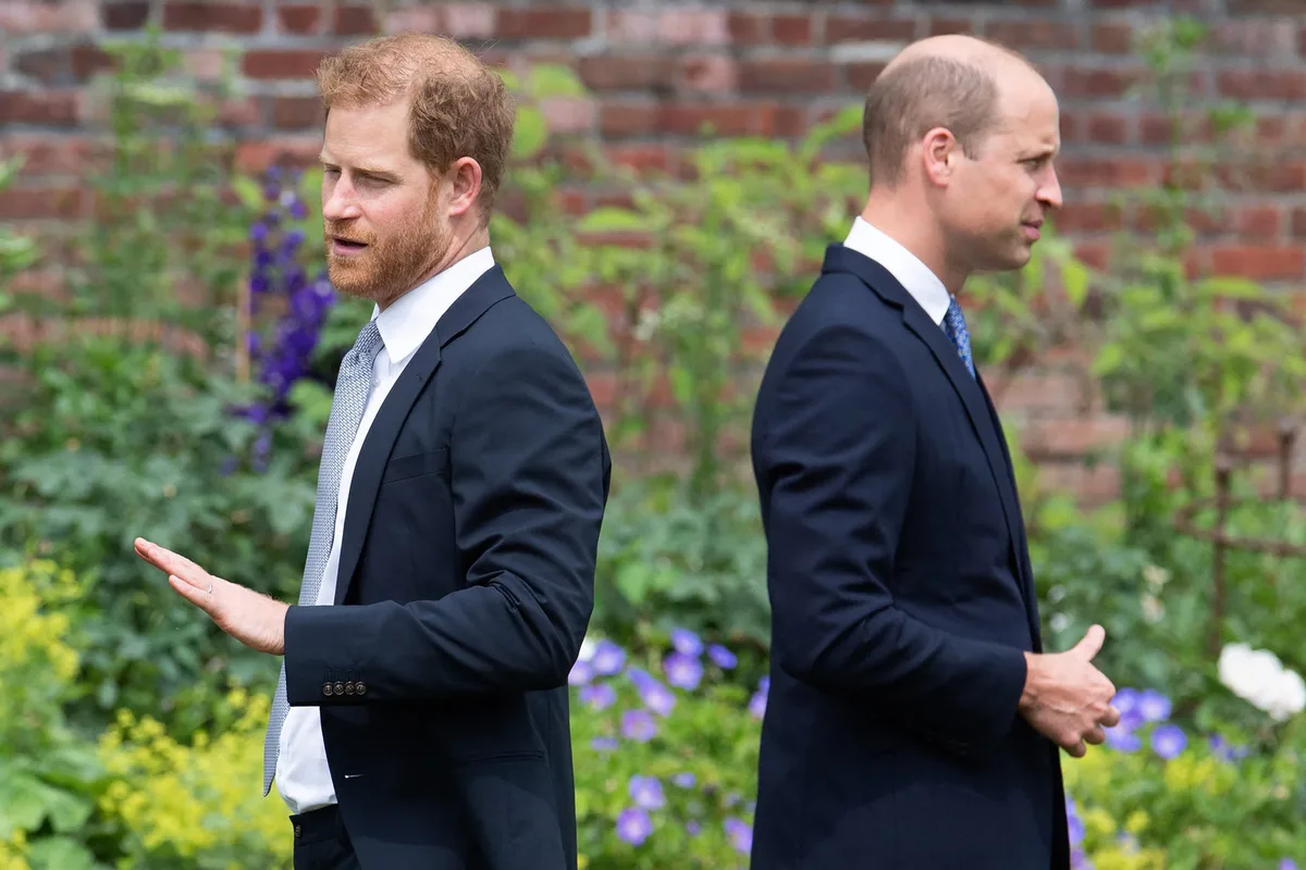 Opinion: Will Diana’s Legacy Be the Next Flashpoint in Her Sons’ Royal Blood Feud?