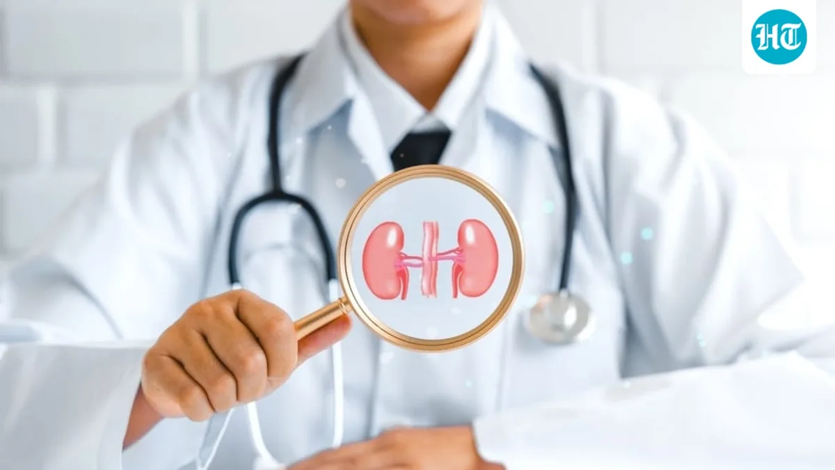 Could certain habits help your kidneys? Nephrologist shares what you should start and stop doing to avoid kidney failure