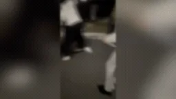 Teenage girl dragged by hair, stomped on, and stabbed six times in wild Deer Park brawl in Melbourne
