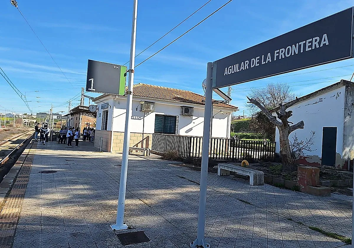 Los alcaldes reclaman la vuelta del tren Córdoba-Bobadilla: «Es ilógico que no tengamos un servicio de pasajeros»