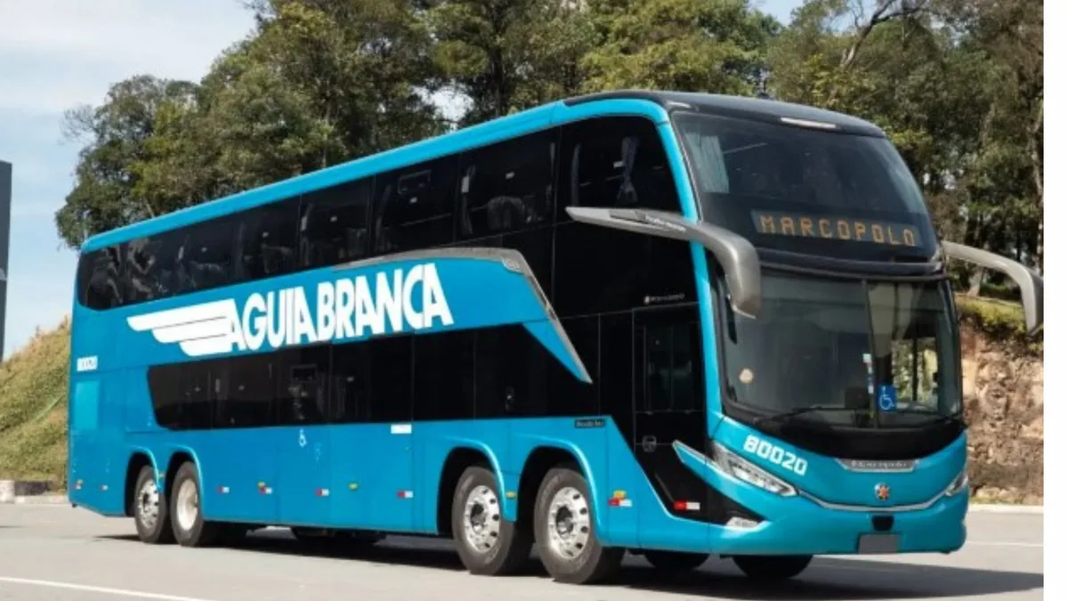 Passageiro agride motorista após dormir e perder ponto de desembarque em viagem de ônibus do RJ ao ES