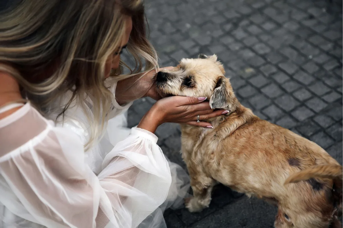 Qué significa que una persona acaricie siempre a los perros en la calle, según la psicología