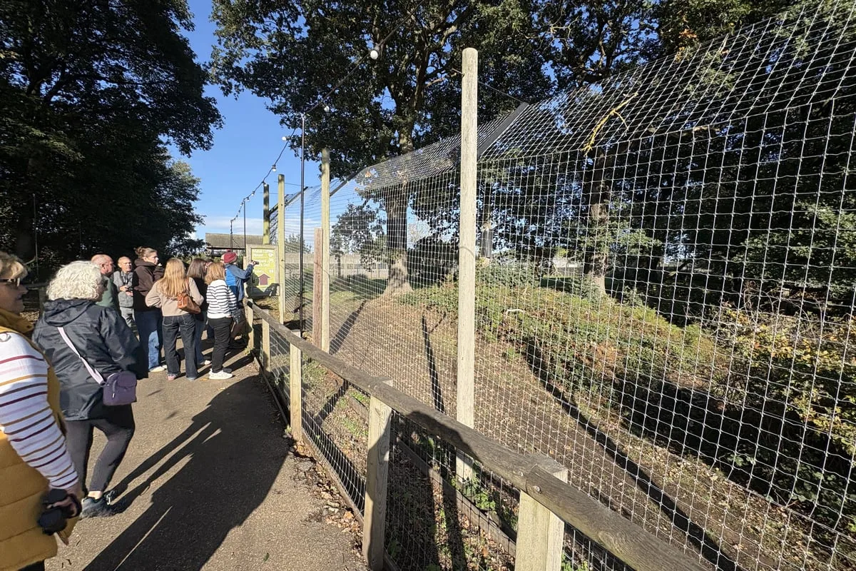 Visitors return to Yorkshire Wildlife Park six days after man killed by tiger