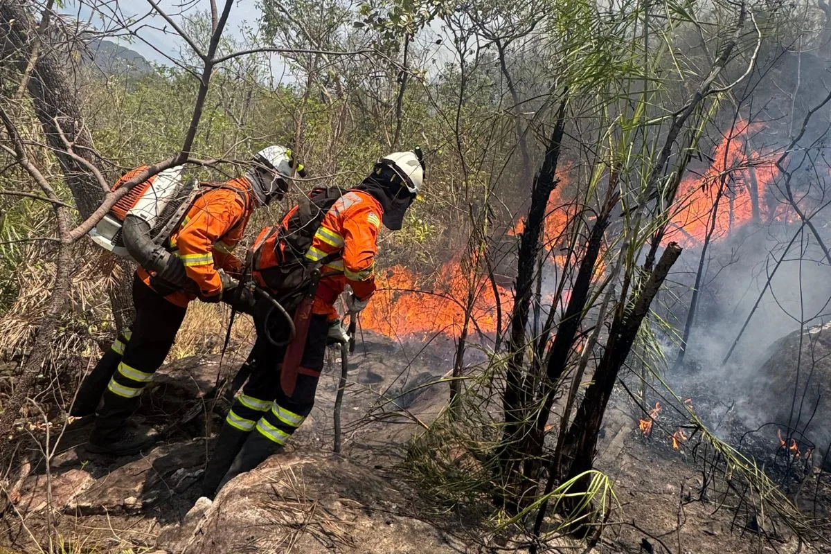 Raio provoca incêndio em área de difícil acesso na Chapada dos Veadeiros