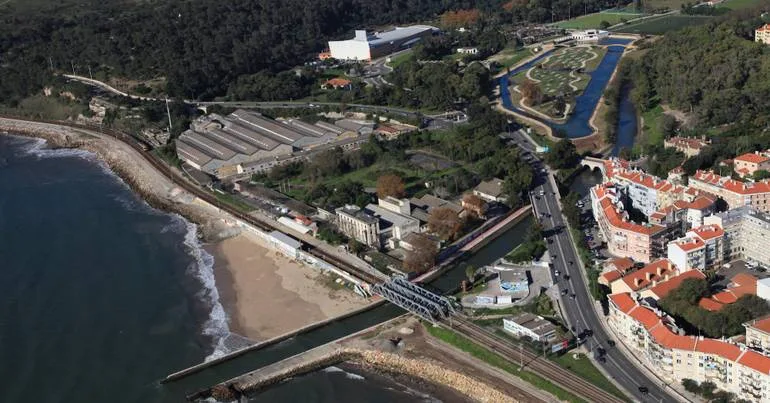 Limpeza de vegetação não infringe leis laborais, diz a ACT