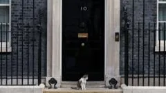 Fake 10 Downing Street listing exposes 'unfit' Booking.com, says consumer group