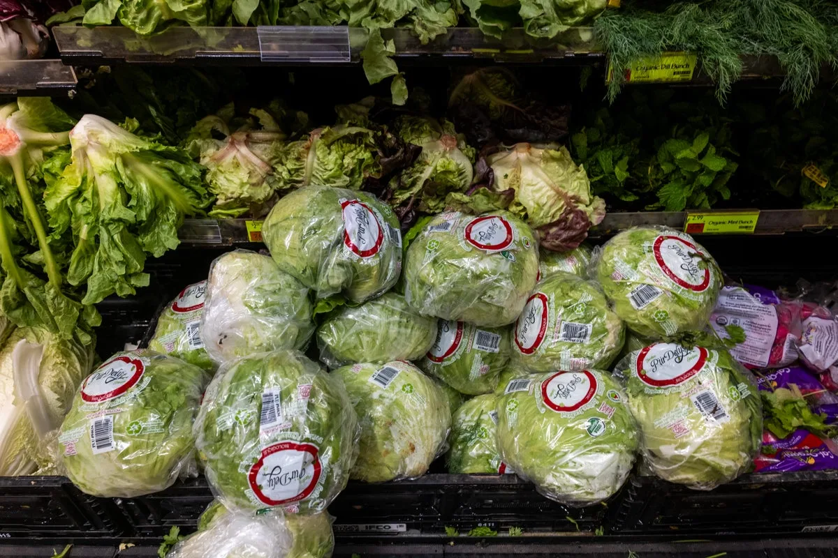 FDA declares cyclospora outbreak over but origin of 13,000 ‘diarrhea lettuce’ cases is still unknown