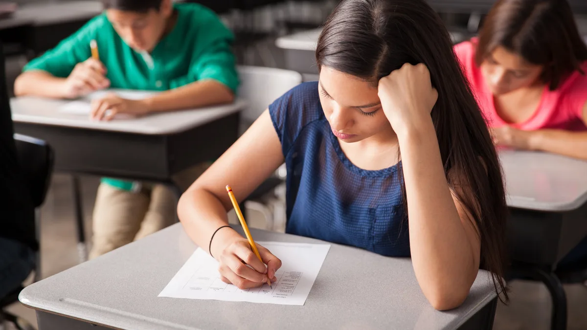Un nuevo informe alerta sobre “el deterioro del aprendizaje y la caída en el desempeño cognitivo” de los estudiantes