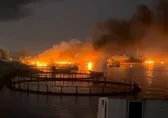 Como a Marinha dos EUA está ajudando a transportar petróleo pelo Estreito de Ormuz
