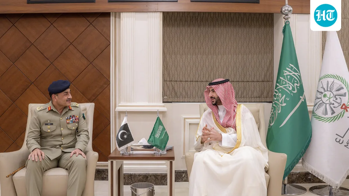 'Go counsel Pakistan': India hits back at OIC over Kashmir remarks