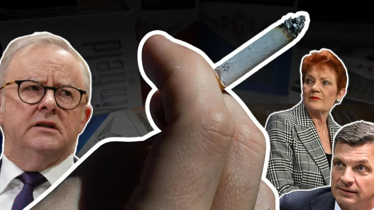 Tobacco laws a 'Christmas present' for crime networks