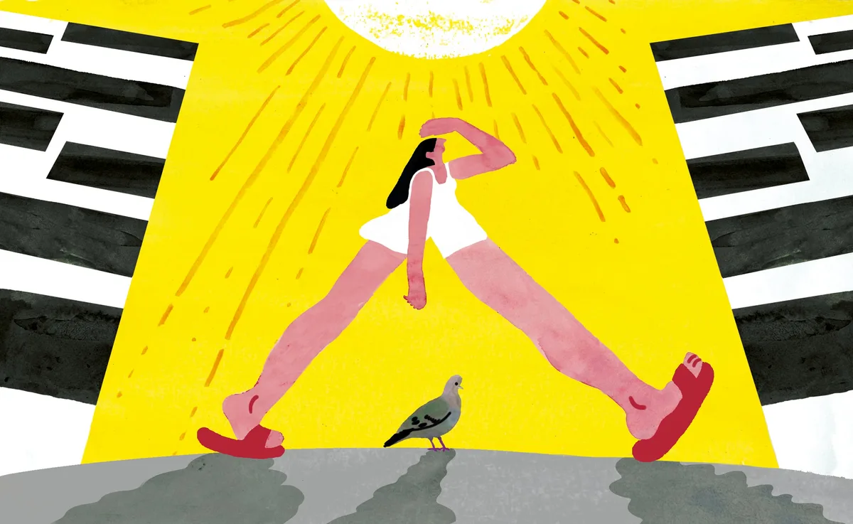 Vivir el verano como las palomas: sin pedir permiso y sin pagar