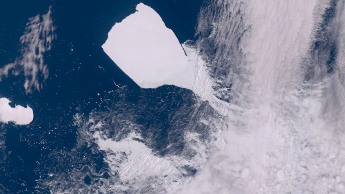 Un colosal iceberg encalló en la Antártida y 15.000 criaturas murieron de hambre sin que nadie pudiese hacer nada