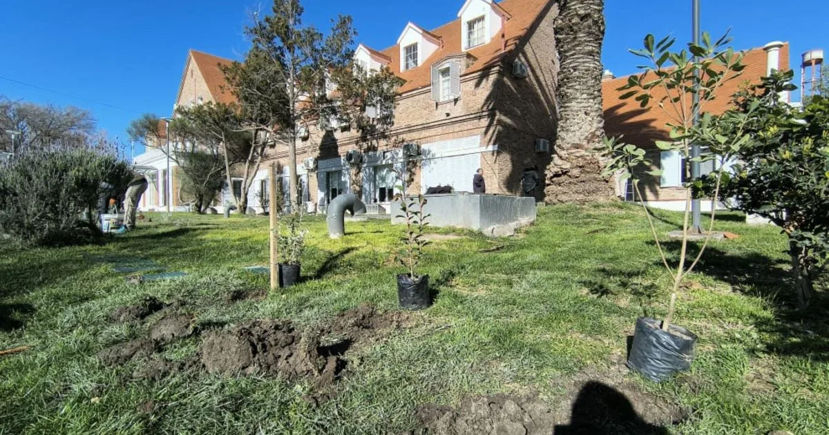 De jardín a bosque urbano: el Paseo del Bicentenario de Viedma empieza a cambiar su paisaje