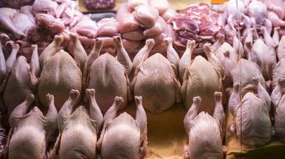 ГОСТ на мясо птицы для сосисок и колбасы начнёт действовать с 2027 года