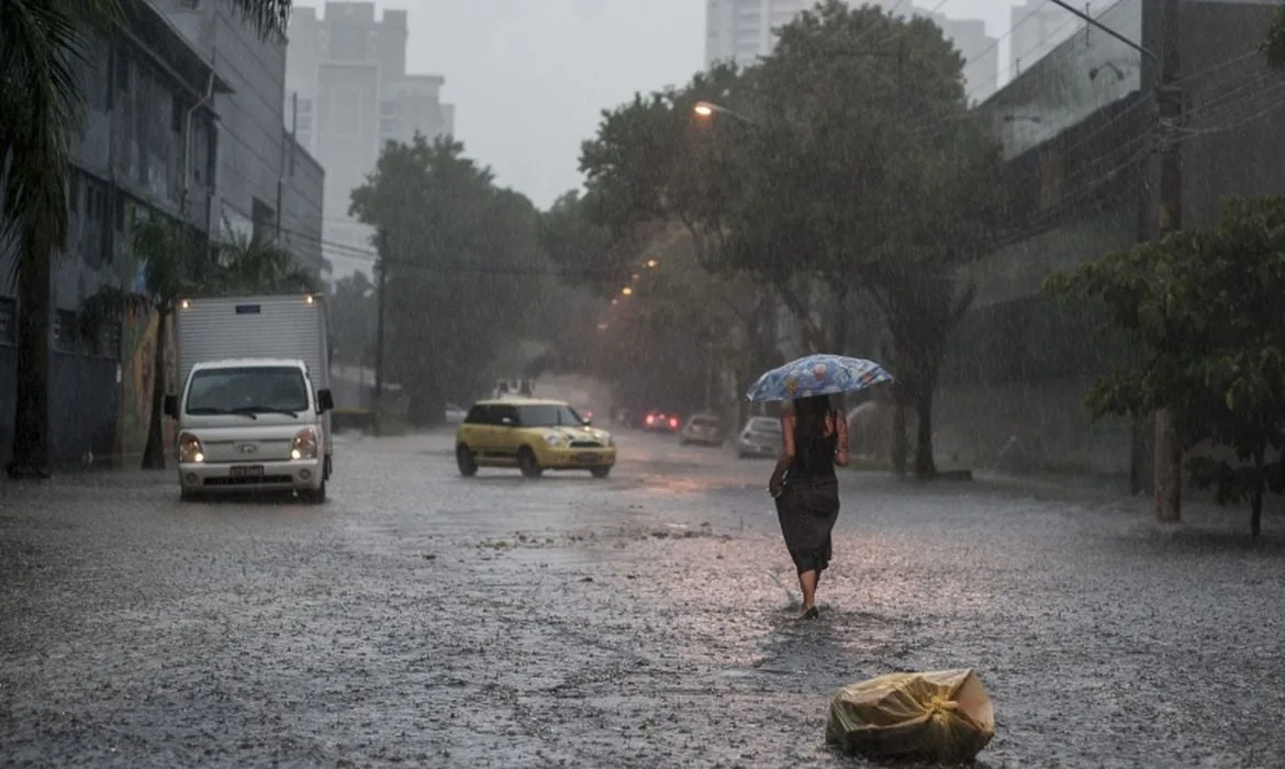 Temporal causa alagamentos, quedas de árvores e interdições em SP