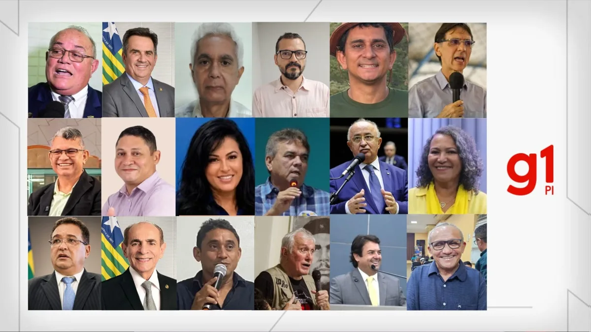 De R$ 844,06 a R$ 34,6 milhões: veja o patrimônio dos candidatos ao Senado pelo Piauí declarado ao TSE