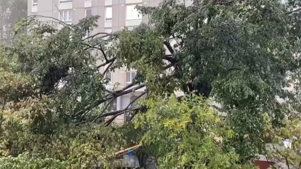 Orages: au moins trois blessés légers recensés, environ 2.200 personnes privées d'électricité ce vendredi