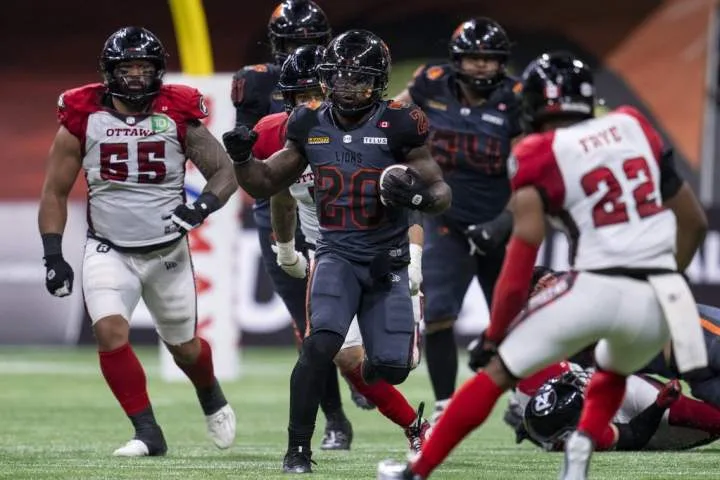 Lions called out for social media post