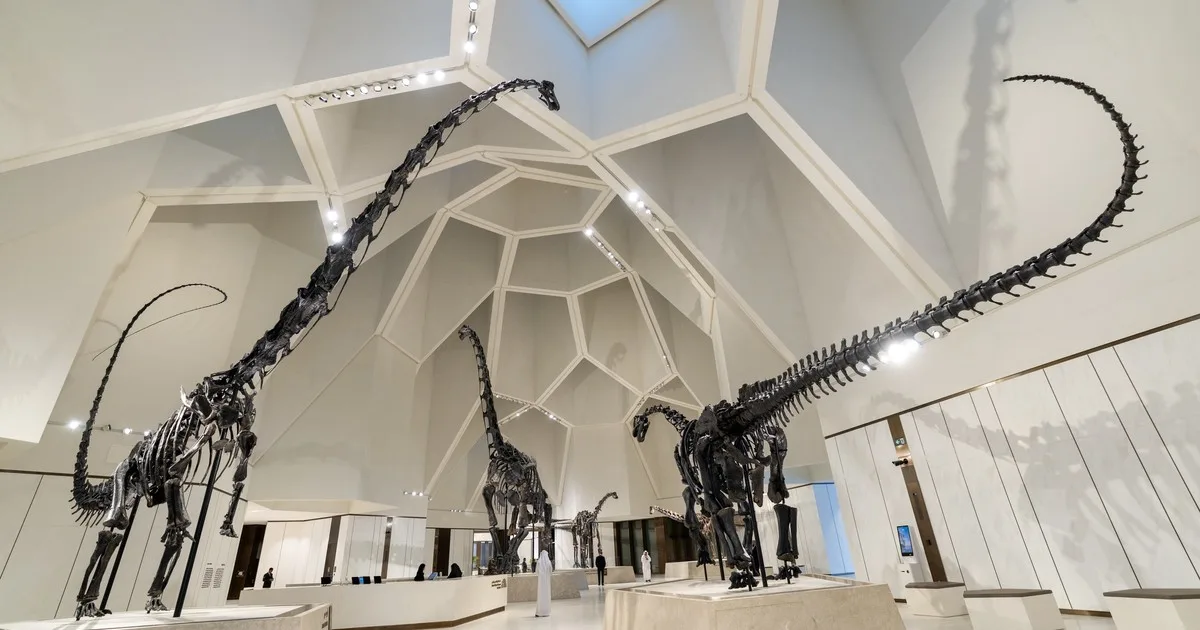 De los fósiles de Dorset a los dinosaurios de China: cómo la prehistoria se convirtió en un negocio