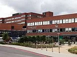 Quarter of hospital referrals are sent straight back to GPs, survey finds