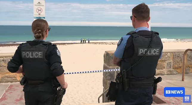 En Australie, un ordre d’abattage rare émis après une attaque mortelle de requin