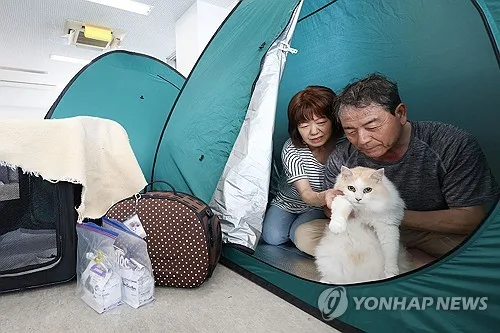 日 구마모토 지진 '호텔 대피자' 식비 부담 논란