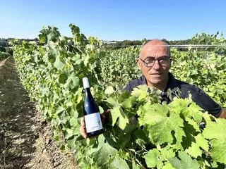 « Il fallait se démarquer » : ce vigneron réussit son pari, ce fameux cépage du sud s’épanouit dans le Maine-et-Loire