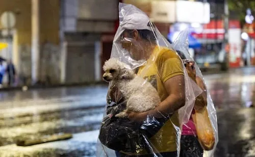 Protección Civil activa alerta amarilla por lluvias en CDMX; consulta las alcaldías afectadas