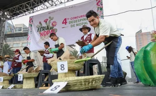 Realizan concurso de desespinado de nopal en el Monumento a la Revolución; una mujer fue la ganadora