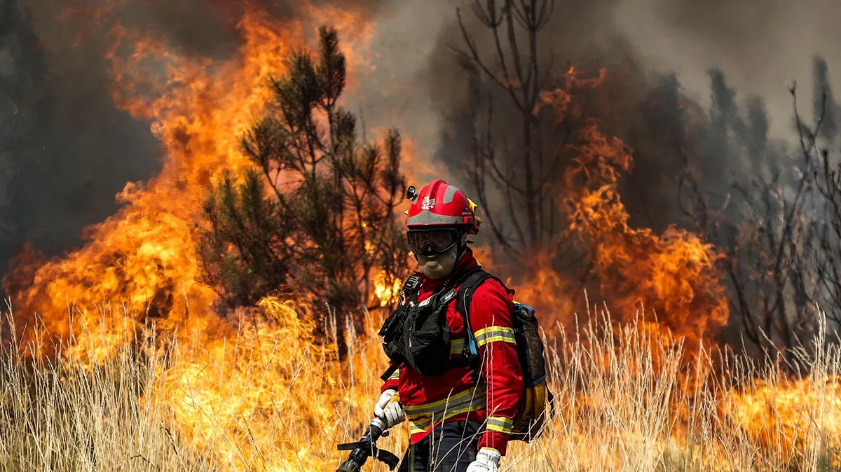 Incêndio em Sintra mobiliza mais de 150 bombeiros