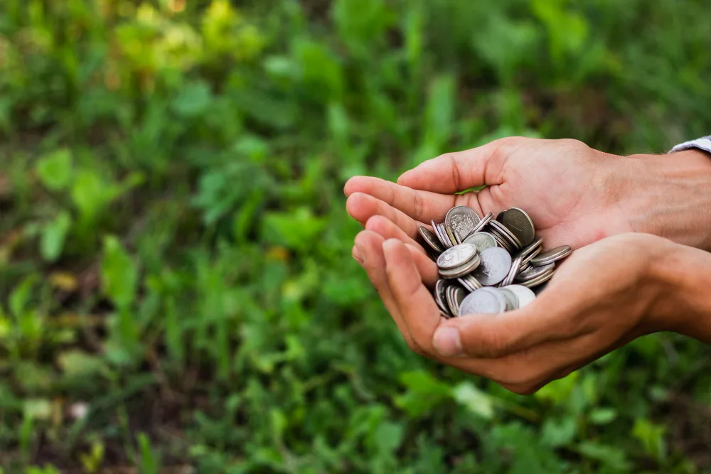 TCU homologa conversão de sanções agropecuárias em multas e sinaliza novo paradigma