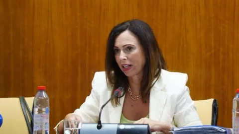 La consejera de Vivienda avanza el nuevo plan de la Junta de Andalucía para ampliar oferta y facilitar acceso a viviendas "asequibles"
