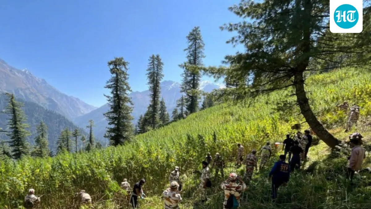 Himachal Pradesh's Parvati Valley sees a multi-agency anti-drug operation. What we know