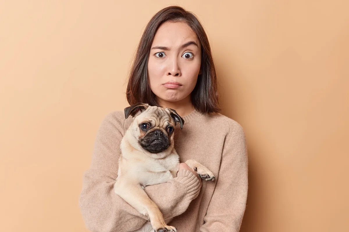 Dia do Cachorro: pet pode usar piscar de olhos para "falar" com tutor
