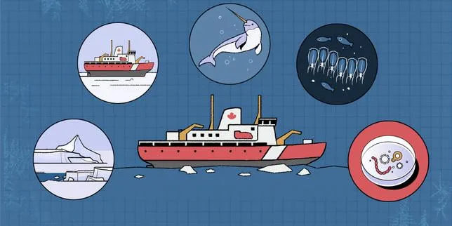 Vidéo : quatre semaine à bord d’un brise-glace, ces navires à la technologie de plus en plus convoitée