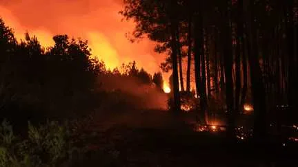 "Le compte n'y est pas" : le secteur des entreprises sur la réserve après les annonces de Sébastien Lecornu sur les incendies en Gironde