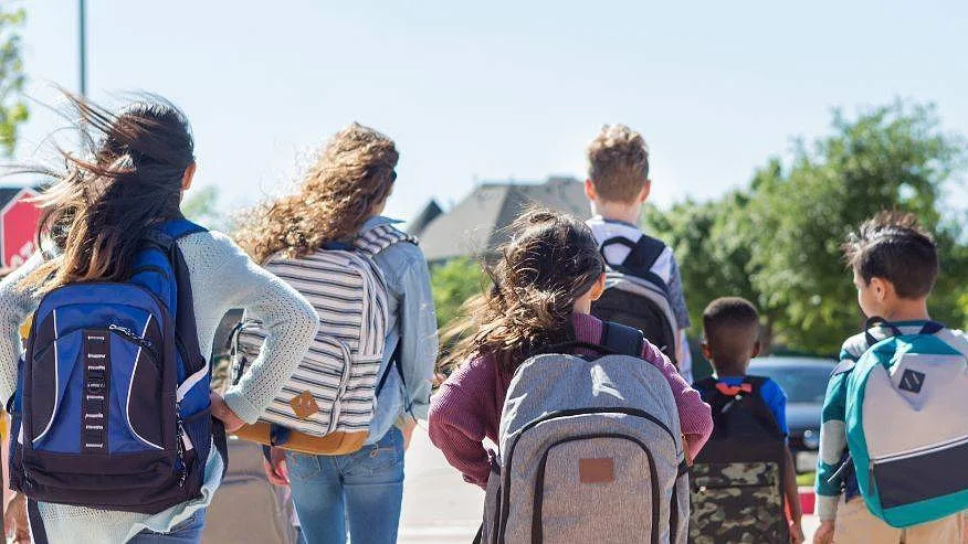 Mochilas escolares: peso excessivo pode prejudicar a coluna das crianças