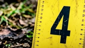 Presos dos malos hijos por agredir a sus madres
