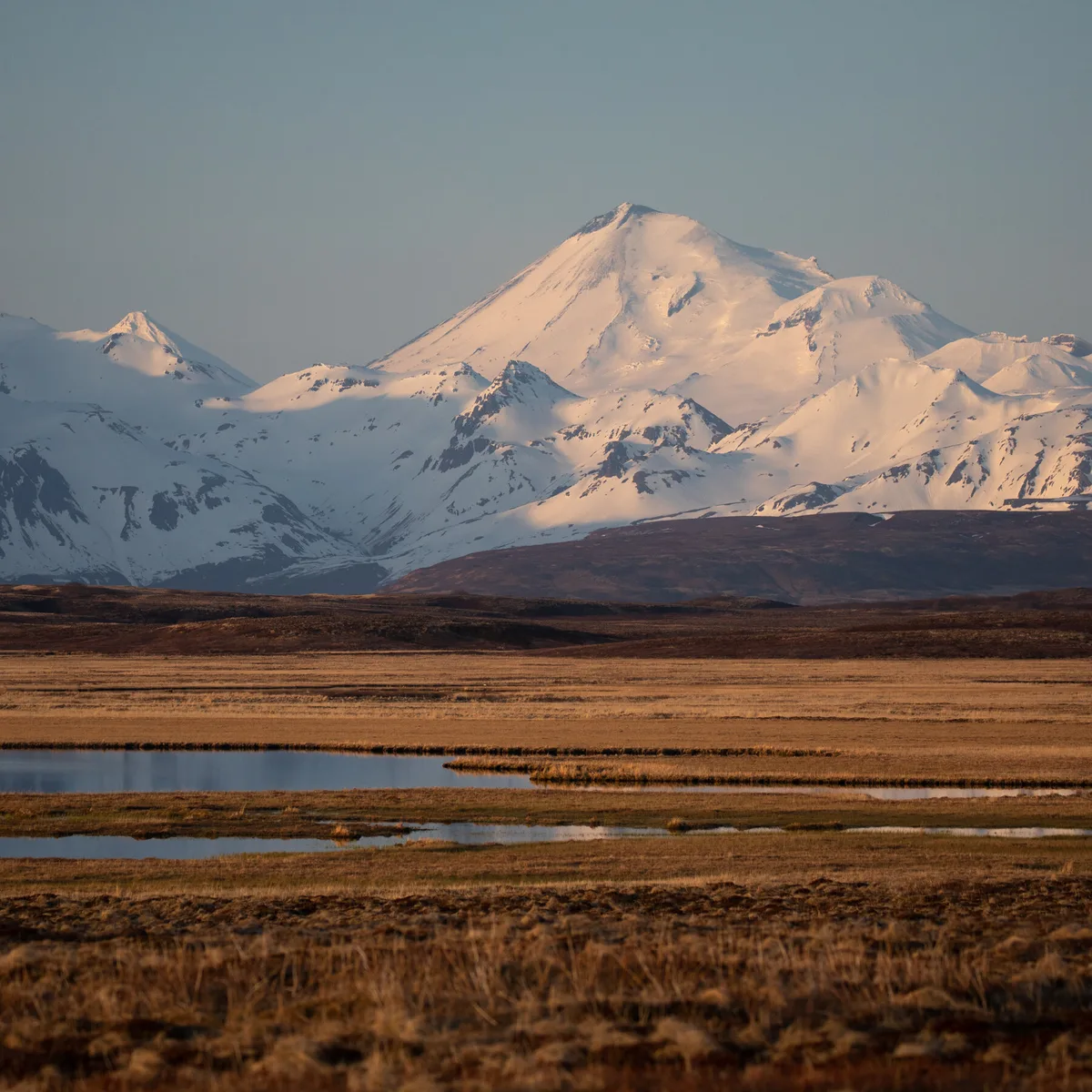 Court Blocks Road Through Izembek National Wildlife Refuge