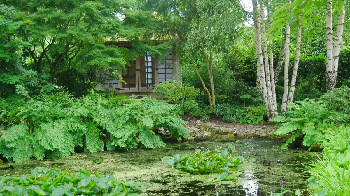 Garten in England: Ein Ort mit vielen Gesichtern