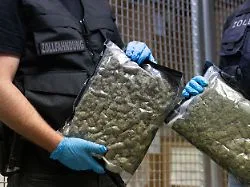 Marihuana im Millionenwert: Berliner Drogenbande erhält hohe Haftstrafen