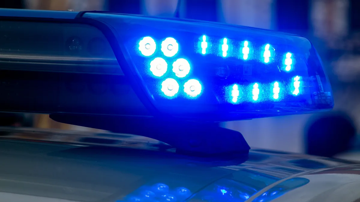 Großrazzia: Neun Festnahmen in Polen nach Serie von Autodiebstählen