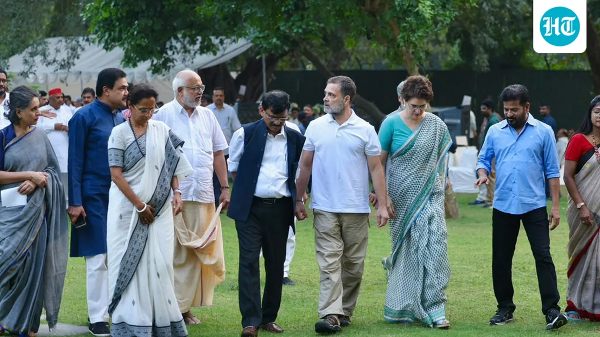 Opposition announces ‘mission to restore democracy’, plans India Plus group