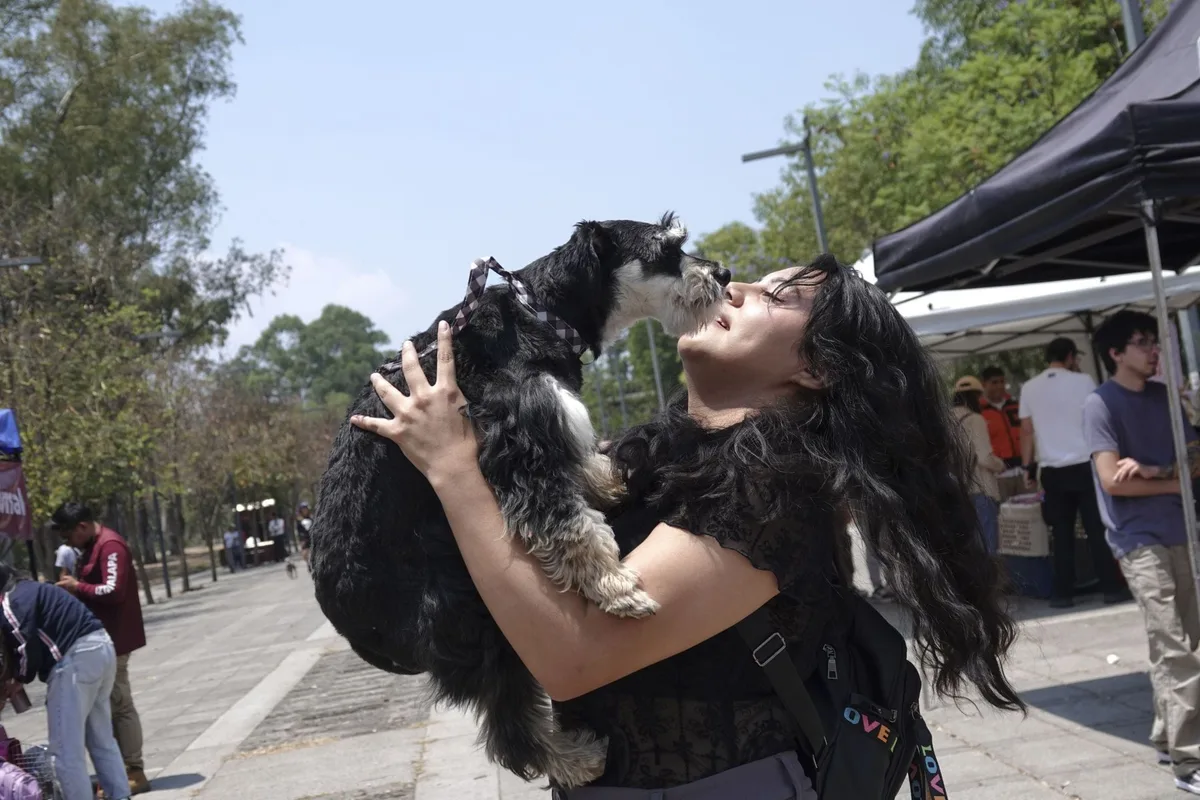 Adopta una mascota en la Ciudad de México: fechas, lugar y requisitos del Adoptatón 2026