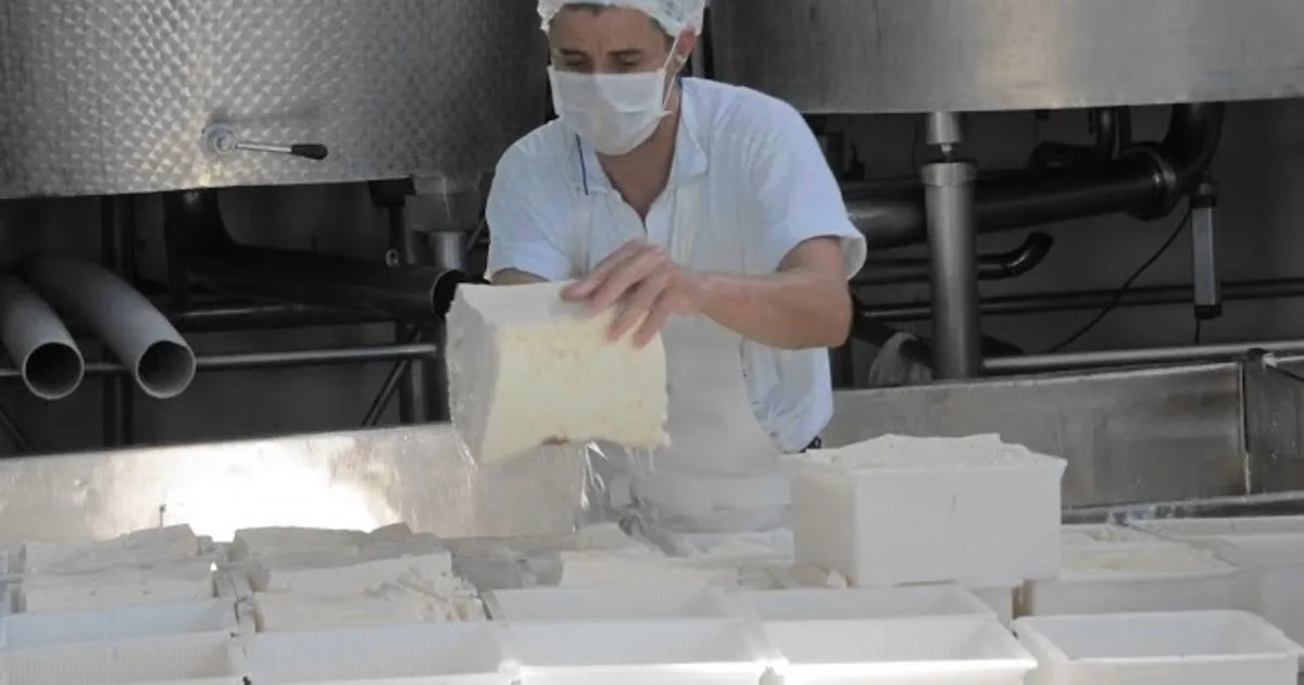 Ranking de la industria láctea: 5 empresas concentran el 36% de la producción, las cooperativas apenas el 3% y hay firmas que ya no participan del mercado