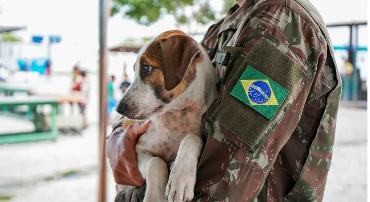 Cães resgatados de abrigos para migrantes e refugiados ganham feira de adoção em Boa Vista