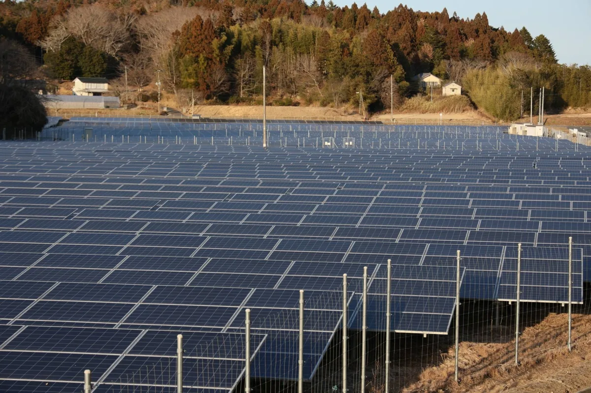 Japan to end subsidies for solar panels