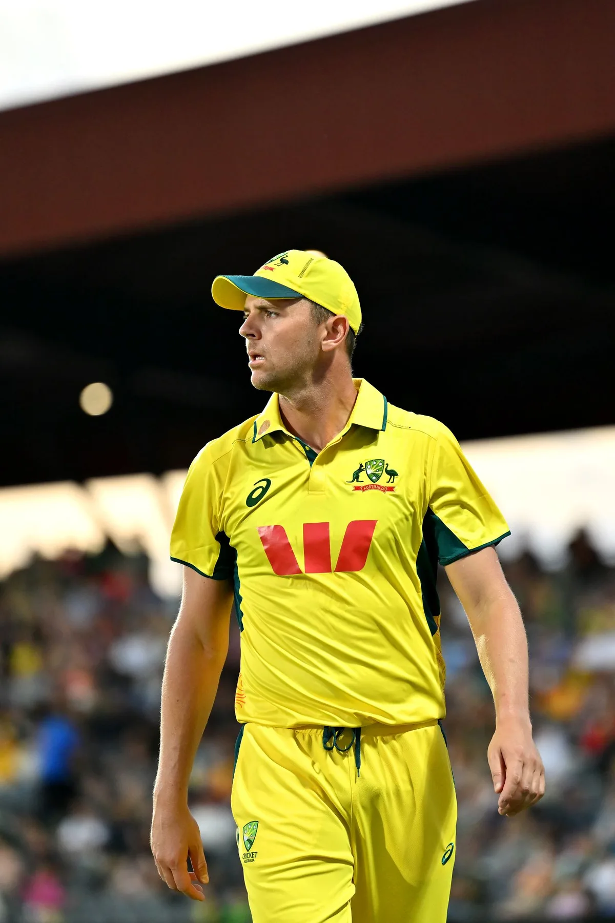 Australia look to get stronger, Zimbabwe sharper